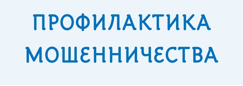 profil moshen
